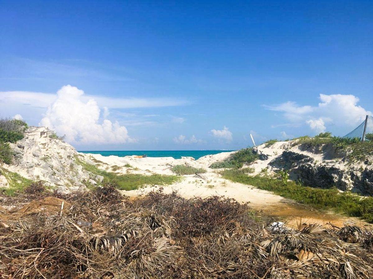 Beachfront Lot for Sale in Isla Blanca