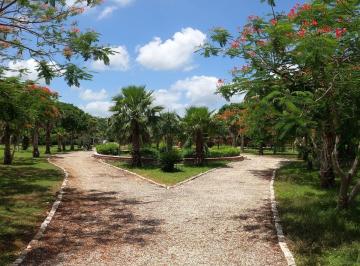 Terreno / Lote · 540m² · Venta de Terreno en Hacienda San Diego Motul Yucatán