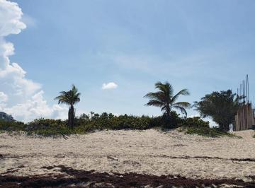 2396f2eae8a801f82e4564112f9bd12f9ceca557f4e1f46b253debe7623f767d · Terreno Hotelero - Residencial en Isla Blanca Venta