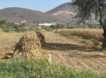 Terreno / Lote · 8750m² · Se Vende Terreno Ejidal en El Camino a San Miguel Cuyutlan - San Juan Evangelista Jalisco