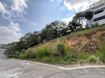 Terreno / Lote · 133m² · Terreno en Venta en Fraccionamiento El Vergel Animas