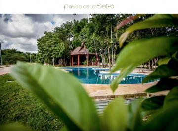 Terreno / Lote · 277m² · Terreno en Paseo de La Selva 1.