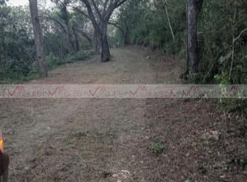 Terreno / Lote · 12920m² · Terreno / Lote en Venta en San Pedro