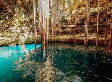 d03bc47ffbdaa37a0f234eae46b6fa026935df692c6270a79c2d9d92f282c562 · En Venta Terreno con Cenote Ubicado en San Antonio Chuc, Tunkás, Yucatán