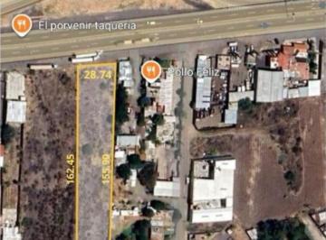 Terreno / Lote , Pénjamo · Terreno de 4573 m² en Venta, Carretera Pénjamo - Abasolo (Junto Al Pollo Feliz)