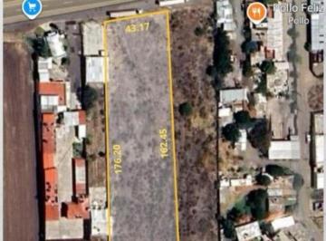 Terreno / Lote , Pénjamo · Terreno de 7404 m² en Venta en Carretera Pénjamo - Abasolo $1,620 m²