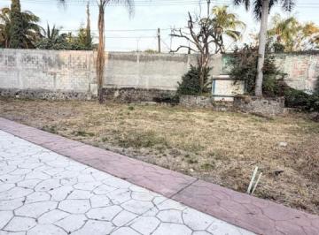 Terreno / Lote · 250m² · Terreno - Amatitlán