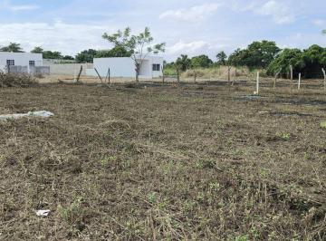 Terreno / Lote , Alvarado · Terrenos en Venta Para Comercio, Bodegas, Habitación a m de La Carret Veracruz Alvarado Robles