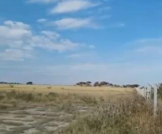 Terreno / Lote · 20000m² · Terreno en Venta