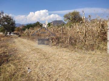 Terreno / Lote , Yautepec · Terreno de 665 m² en Venta en Oaxtepec Centro