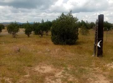 Terreno / Lote · 3000m² · Terreno en Venta en El Mimbre, Cuauhtémoc, Chihuahua