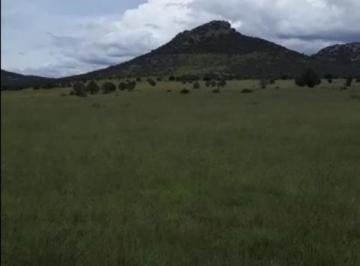 Rancho · Campo - Cuauhtémoc