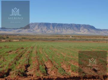 Terreno / Lote · 350000m² · Terreno - Chihuahua