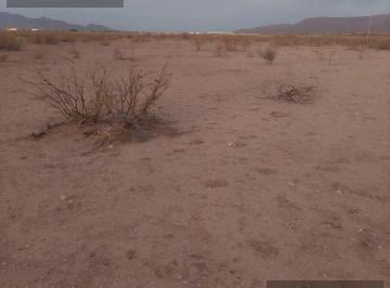 Terreno / Lote · 66738m² · Terreno en Venta en Rancho de Enmedio