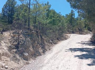 Terreno / Lote · 7000m² · Terreno en Venta en Creel