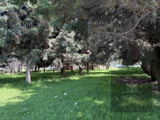 Terreno / Lote · 3439m² · Terreno en Venta en San Pedro Totoltepec