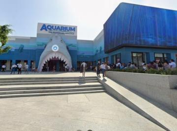 Local en centro comercial , Veracruz · Se Rentan 2 Locales en Plaza Acuario, Veracruz