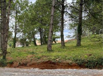 Terreno / Lote , Tapalpa · Terreno en Tapalpa de 1,700 m² – $2,365,000 Mxn