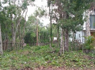 Terreno / Lote · 290m² · Terreno Para Desarrolladores Chemuyil