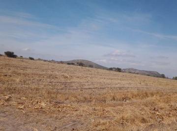 Terreno / Lote · 60000m² · Lote / Terreno en Venta en El Vegil