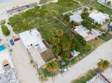 Terreno / Lote · 535m² · Terreno en Sisal, Yucatán - (4)