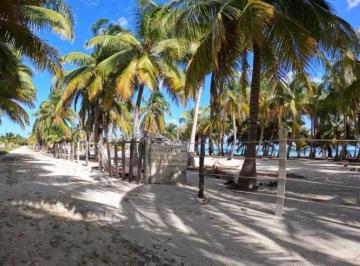Terreno / Lote · 3135m² · Terreno en Primera Fila, Cerca a Mahahual, Pulticub, Quintana Roo - (4)