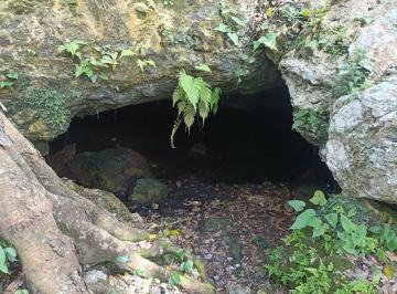 Terreno / Lote , Puerto Morelos · Venta Terreno Ruta de Los Cenotes, Escriturado, Central Vallarta, Puerto Morelos, Quinana Roo