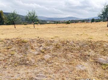 Terreno / Lote · Terreno a Lado del Club Hípico en Corregidora - (4)