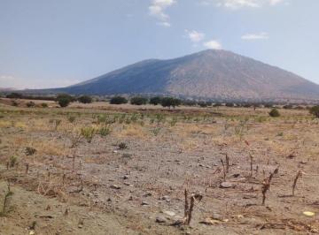 Terreno / Lote · 50000000m² · Venta de Terreno en Guadalupe Victoria, Puebla