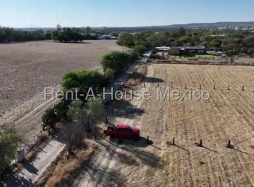 Terreno / Lote , San Miguel de Allende · Terreno en Venta de 5,000 m² en Zona de Viñedos en San Miguel de Allende Vm1447