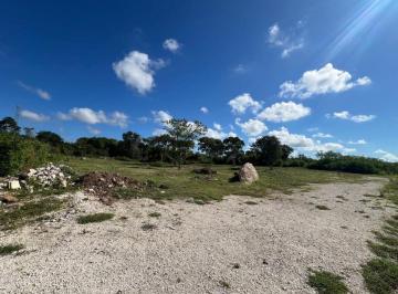 Terreno / Lote , Mérida · 12.75 m de Frente X 50 m de Fondo - $3,710 m², Temozon Norte Merida Yucatan