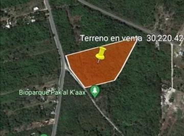 Terreno / Lote · Terreno en Venta en Tahdzibichén, Sur de Mérida a un Costado del Bioparque