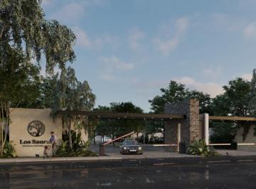 Terreno / Lote · Terrenos Residenciales Los Sauces en Venta, Cholul Merida.