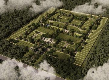 Terreno / Lote · 395m² · Lotes Residenciales en Cordelia Carretera Progreso Tamanche.