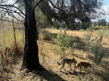 Terreno / Lote · 63000m² · Se Vende Terreno a Pie de Carretera Arenal - Tala