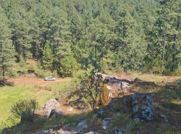 Terreno / Lote , Juanacatlán · Terreno en Venta en Tapalpa Junto a Arroyo Ideal Para Glamping 10,000 m²