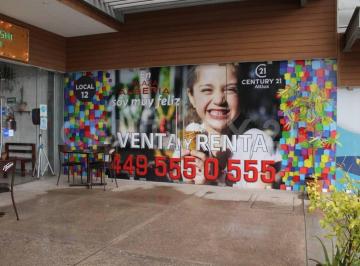 Local comercial · 247m² · Local 12 en Renta en Plaza Alberia