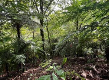 Rancho · 37604m² · Rancho Para Inversionistas en Cuetzalan