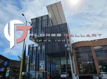 Oficina · 500m² · Pisos Para Oficinas en Renta en Edificio Corporativo Sobre Av Colosio Al Norte de La Ciudad de