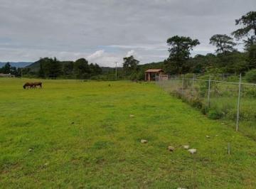Terreno / Lote · 7692m² · Terreno en Valle de Bravo