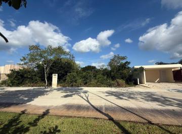 Terreno / Lote , Mérida · Terreno en Venta en Merida, Yucatan en Residencial Provincia