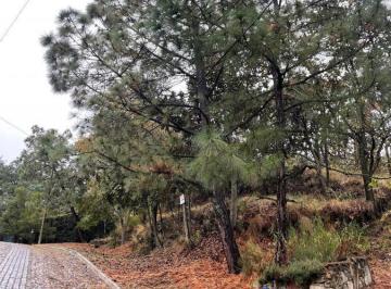Terreno / Lote · 2305m² · Terrenos en Venta en Pinar de La Venta