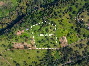 Terreno / Lote · 14016m² · Terreno Pextlán en Venta en El Camino a Xico Viejo