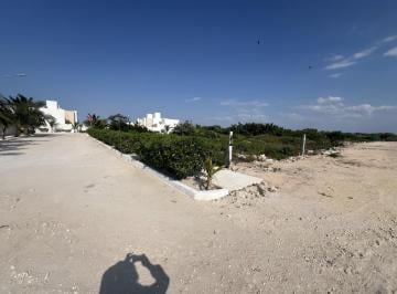 Terreno / Lote · Venta de Terreno en Chelem Puerto Progreso Yucatán