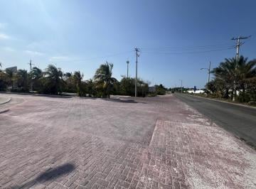 Terreno / Lote · 149m² · Venta Deterreno en Chelem Puerto Progreso Yucatán