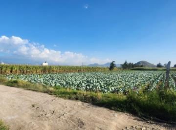 Terreno / Lote · 5000m² · Venta de Terreno en San Gregorio Cuautzingo, Chalco Edo de México