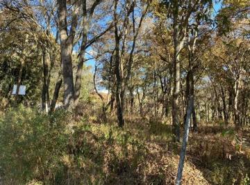 Terreno / Lote , Jilotzingo · Venta de Terreno en Jilotzingo, Espíritu Santo