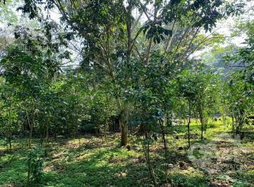 Terreno / Lote · 1250m² · Terrenos en Venta en Higueras del Guayabal