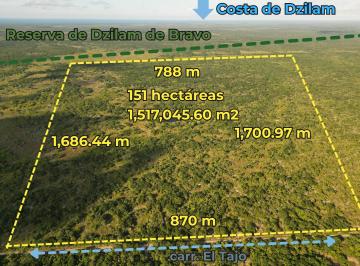 Terreno / Lote , Dzilam González · 151 Hectáreas con Cenote Propio y Colindancia con Reserva Natural.
