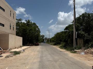 Terreno / Lote , Mérida · Terreno con 8000 m² de Superficie de Terreno en Venta, Temozón Norte, Se Puede Vender en Partes